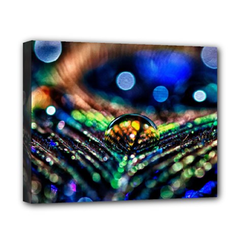 Peacock Feather Drop Canvas 10  X 8  (stretched) by artworkshop