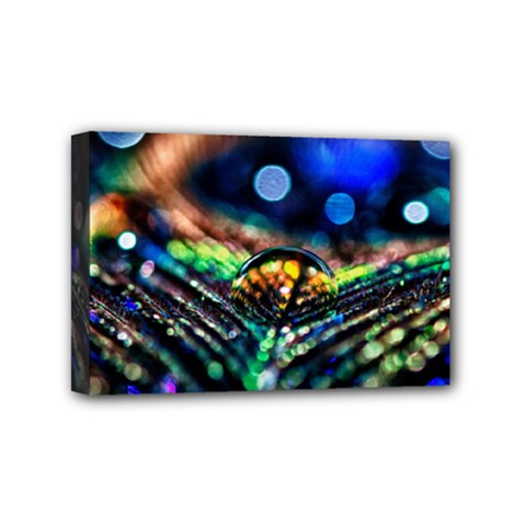 Peacock Feather Drop Mini Canvas 6  X 4  (stretched) by artworkshop