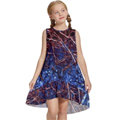 Autumn Fractal Forest Background Kids  Frill Swing Dress by Amaryn4rt