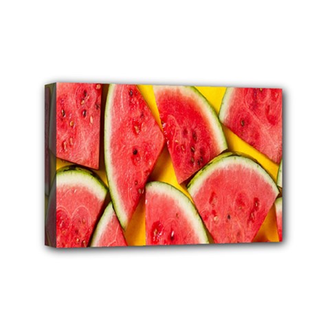 Watermelon Mini Canvas 6  X 4  (stretched) by artworkshop