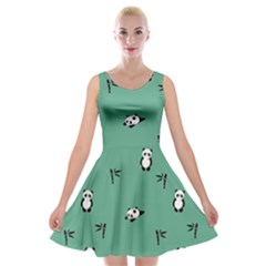 Pandas Pattern Velvet Skater Dress by artworkshop