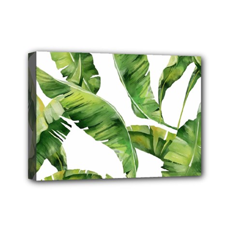 Sheets Tropical Plant Palm Summer Exotic Mini Canvas 7  X 5  (stretched) by artworkshop