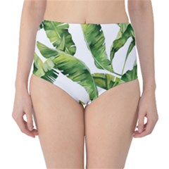 Sheets Tropical Plant Palm Summer Exotic Classic High-waist Bikini Bottoms by artworkshop