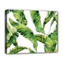 Sheets Tropical Plant Palm Summer Exotic Deluxe Canvas 20  x 16  (Stretched) View1