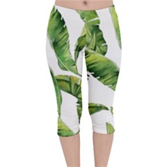 Sheets Tropical Plant Palm Summer Exotic Velvet Capri Leggings  by artworkshop