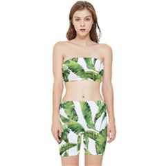 Sheets Tropical Plant Palm Summer Exotic Stretch Shorts And Tube Top Set by artworkshop