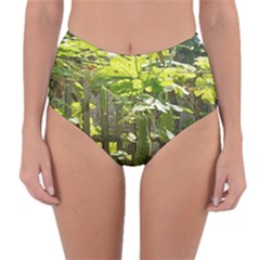 Bitter Melon Reversible High-waist Bikini Bottoms by artworkshop