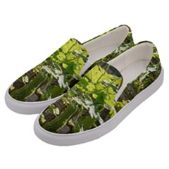 Bitter Melon Men s Canvas Slip Ons by artworkshop