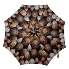 Snail Shells Pattern Arianta Arbustorum Hook Handle Umbrellas (small) by artworkshop