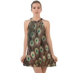 Bird-peacock Halter Tie Back Chiffon Dress by nateshop