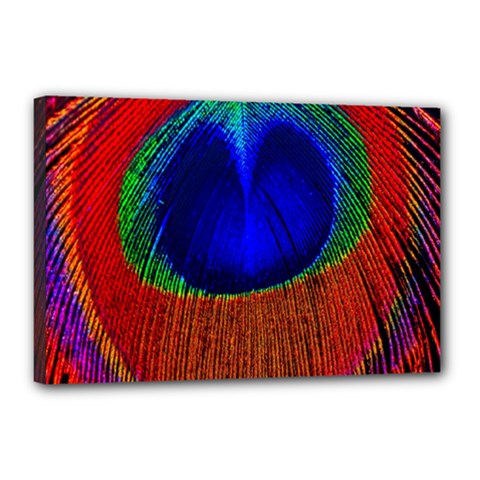 Peacock Plumage Fearher Bird Pattern Canvas 18  X 12  (stretched) by Sapixe