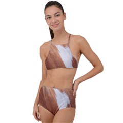 Horse Coat Animal Equine High Waist Tankini Set by artworkshop