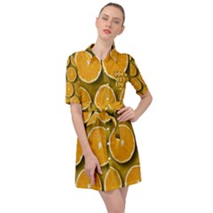 Orange Slices Cross Sections Pattern Belted Shirt Dress by artworkshop