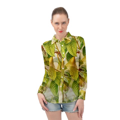 Pear Fruit Tree Organic Pattern Long Sleeve Chiffon Shirt by Wegoenart