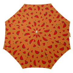 Fruit 2 Straight Umbrellas by nateshop