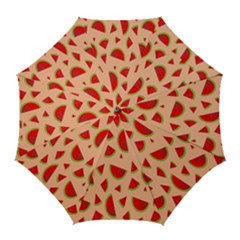 Fruit-water Melon Golf Umbrellas by nateshop