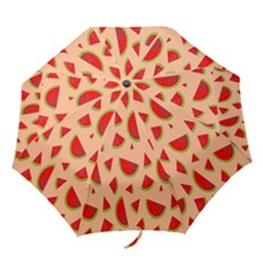 Fruit-water Melon Folding Umbrellas by nateshop