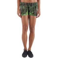 Forest Woods Nature Landscape Tree Yoga Shorts by Celenk