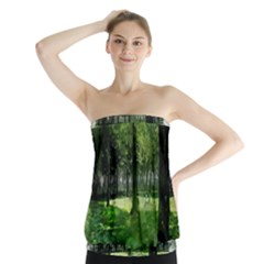 Beeches Trees Tree Lawn Forest Nature Strapless Top by Wegoenart