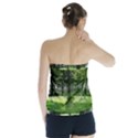 Beeches Trees Tree Lawn Forest Nature Strapless Top View2