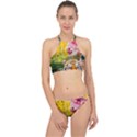 Rainbow Painted Nature Bigcat Racer Front Bikini Set View1