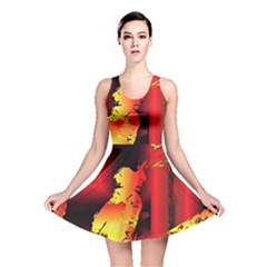 Red Light Ii Reversible Skater Dress by MRNStudios