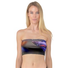 Betta Fish Photo And Wallpaper Cute Betta Fish Pictures Bandeau Top by StoreofSuccess