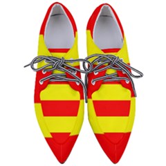 Aust Agder Flag Pointed Oxford Shoes by tony4urban