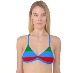 Dagestan Flag Reversible Tri Bikini Top by tony4urban