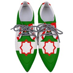 Andalusia Flag Pointed Oxford Shoes by tony4urban