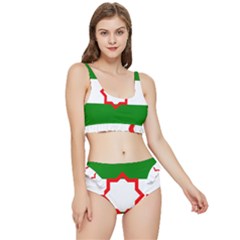 Andalusia Flag Frilly Bikini Set by tony4urban