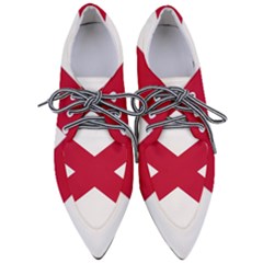 Anglo Irish Flag Pointed Oxford Shoes by tony4urban