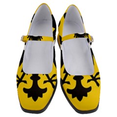 Dolnoslaskie Flag Women s Mary Jane Shoes by tony4urban