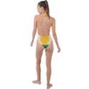 Kurdistan Flag Backless Halter One Piece Swimsuit View2