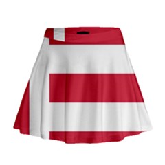 Eindhoven Flag Mini Flare Skirt by tony4urban