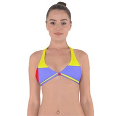 Nitriansky Flag Halter Neck Bikini Top by tony4urban