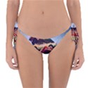 Berwyn Car Kebob Reversible Bikini Bottom View1