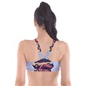 Berwyn Car Kebob Plunge Bikini Top View2