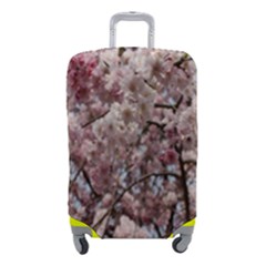 Almond Tree Flower Luggage Cover (small) by artworkshop