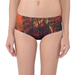 Space Nature Fantasy Trees Mid-waist Bikini Bottoms by Ravend