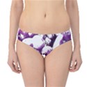 Grapes T- Shirt Purple Grapes Photo T- Shirt Hipster Bikini Bottoms View1