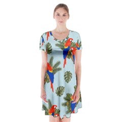 Birds Animals Nature Background Short Sleeve V-neck Flare Dress by Ravend