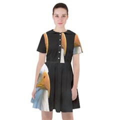 Bird Sailor Dress by artworkshop