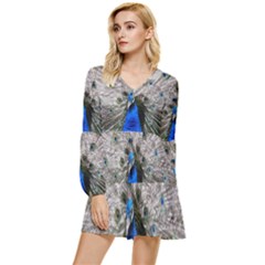 Peacock Bird Animal Feather Nature Colorful Tiered Long Sleeve Mini Dress by Ravend