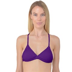 Eminence Purple	 - 	reversible Tri Bikini Top by ColorfulSwimWear