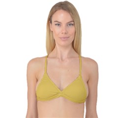 Biscotti	 - 	reversible Tri Bikini Top by ColorfulSwimWear