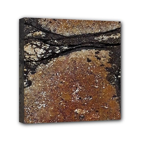 Rustic Charm Abstract Print Mini Canvas 6  X 6  (stretched) by dflcprintsclothing