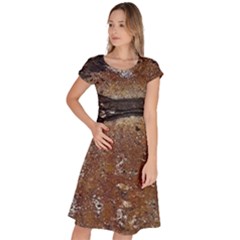 Rustic Charm Abstract Print Classic Short Sleeve Dress by dflcprintsclothing