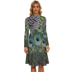 Peacock Bird Feather Colourful Long Sleeve Shirt Collar A-line Dress by Jancukart