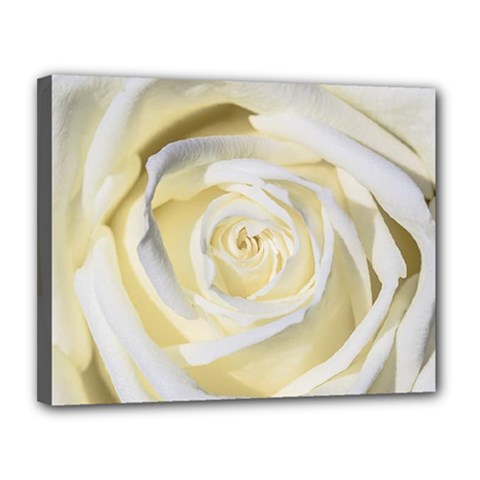 White Roses Flowers Plant Romance Blossom Bloom Nature Flora Petals Canvas 14  X 11  (stretched) by pakminggu